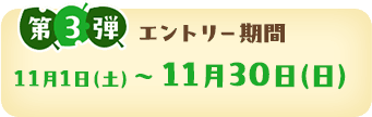 第3弾エントリー期間11月1日（土）〜11月30日（日）